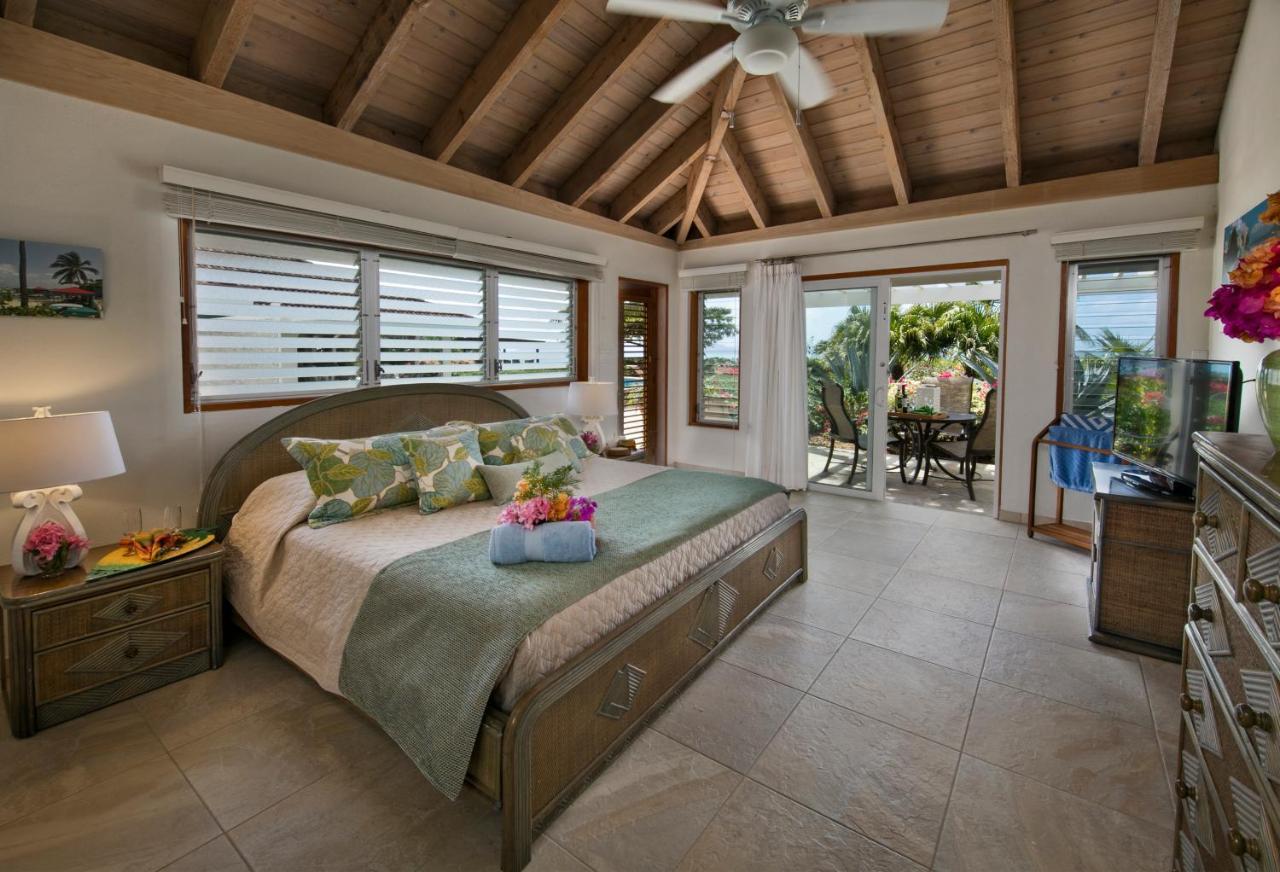Beachcomber Villa Спаниш-Таун Экстерьер фото